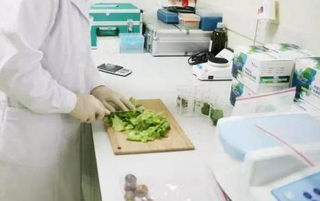食品重金屬檢測儀，關注食品安全，防范重金屬危害